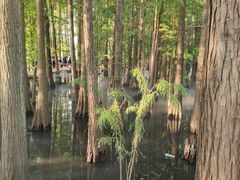 -东湖落雁景区