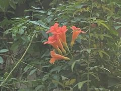 -瓦舍茶馆(聚源路店)