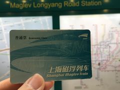 -龙阳路磁悬浮列车总站-停车场