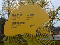 -千年银杏谷文化旅游区