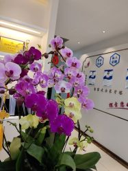 -丽美妍医疗美容·皮秒·立体分层抗衰