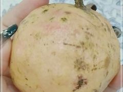 -北京大学-燕南食堂