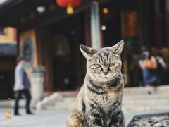 -龙华寺