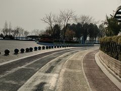 -贡湖湾湿地公园