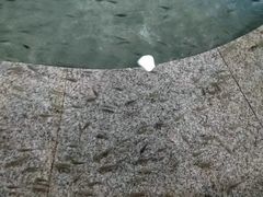 -宝丽金大酒店·洗浴中心