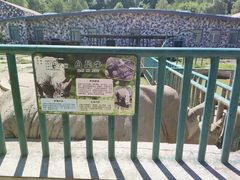 -哈尔滨北方森林动物园