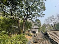 -岳麓山风景名胜区