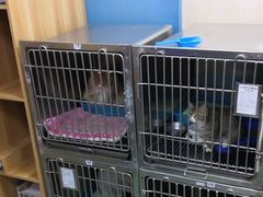 -康乐宝动物医院