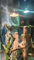 -Zoolung Zoolung动物主题公园(海信广场店)