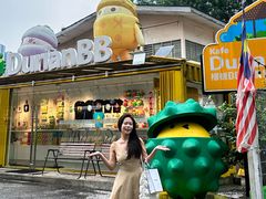 -榴莲BB 四季果园
