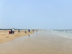 -日照海滨国家森林公园