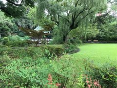 -申粤轩酒楼·三十年粤菜经典(丁香花园店)