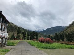 -四川省成都市彭州市白鹿镇