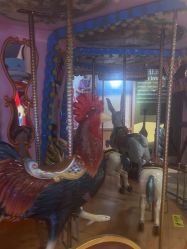 -卡通尼·Safari非洲探索乐园·生日会(金桥国际商业广场店)