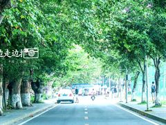 -四川大学(望江校区)