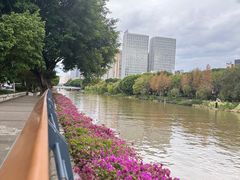 -金鸡山公园