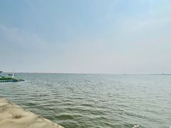 -碧海金沙
