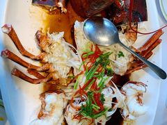 波士顿龙虾-开海·红岛海鲜虾水饺(石老人店)