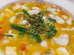 -杨氏青龙虾·羊蝎子(珠江路店)