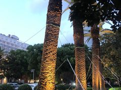 -上海花园饭店
