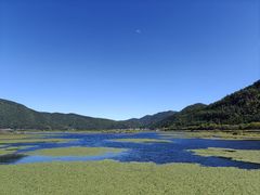 -腾冲北海湿地