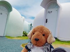 -漳州滨海火山岛自然生态风景区