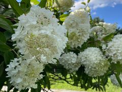 -长春公园(普阳街道)