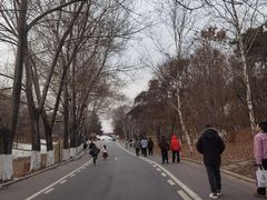 -沈阳植物园