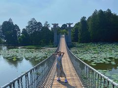 -东湖落雁景区
