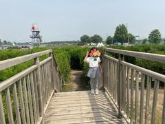 -亲兄弟真人CS团建拓展基地