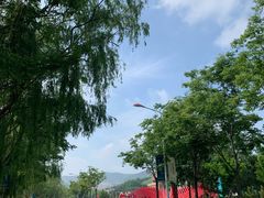 -龙口南山旅游景区