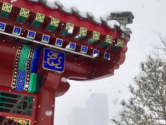 -西海子公园