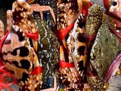 -鸿港海鲜批发市场