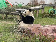 -苏州太湖国家湿地公园