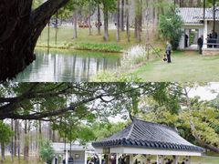 -四海公园(南山区)