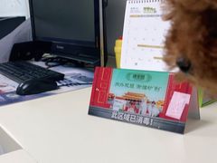 -宠颐生中康贝怡动物医院