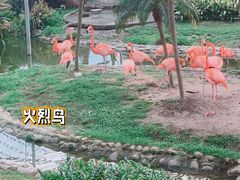 -无锡动物园·太湖欢乐园