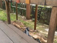 -乐和乐都主题乐园