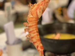 -鲜入围煮花胶鸡海鲜火锅