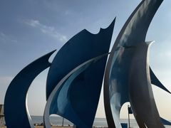 -青岛石老人海水浴场