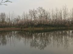 -白鹭湾湿地公园