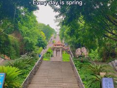 -青礁慈济宫