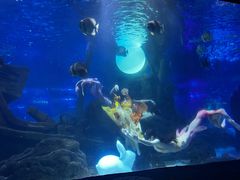 -江和美海洋公园