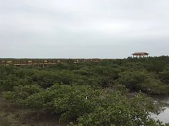 -北海金海湾红树林生态旅游区