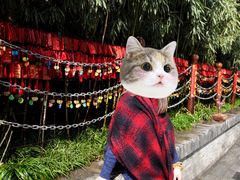 -西安曲江寒窑遗址公园
