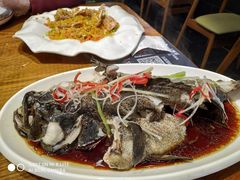 清蒸大龙胆-必点海鲜·鲅鱼水饺(鞍山西道店)