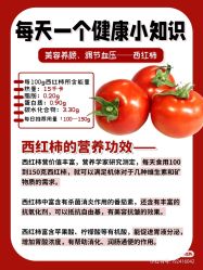 -香薇妮丝女子减肥院