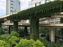 IMG_3888-上海市黄浦区教育学院附属中山学校