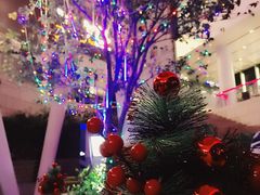 -Paulaner·德国帕拉娜自酿啤酒餐厅(海上世界店)