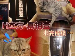 -H立方实景剧情密室(天河旗舰店)